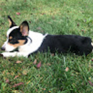 Meet your Posher, Jonathan